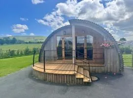 2 Bed in Rhayader oc-90280