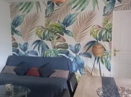 Appartement au coeur du pays basque : vue superbe