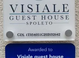 Visiale guest house