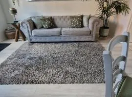 House near Reading Hospital Contractors Students