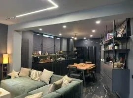 Fancy house