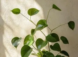 Premium Sonata Hotel Saigon