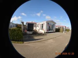 ZEEMEEUW - Platz 31, Olmenduin