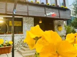 Guest House Holiday in Melnik