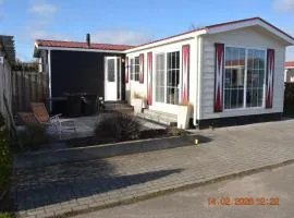 ZEEMEEUW - Platz 31, Olmenduin