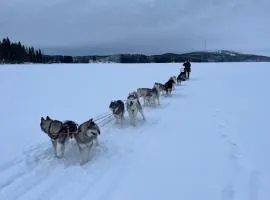 Juurikkalahti Adventure Center