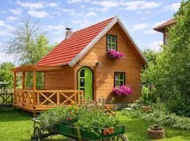 Apartments Vila Selena - Golija