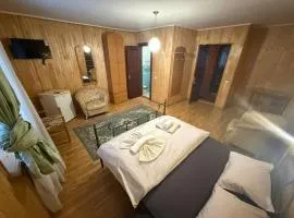 Hotel palas tatarıv