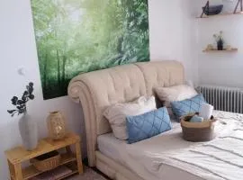 Quiet location in Schönau, free parking, balcony