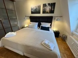 Sonnig, modern, zentral mit Parkhaus nebenan checkin123