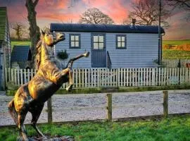 Owls Retreat, Meadowview House