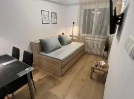 Apartmán Ella - Riegrova 41