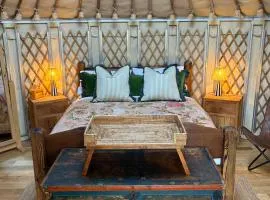 Yurt stay with Hot tub, Sauna, Cold Plunge & Riverstone Bath