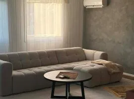 Calm, big, modern house in a quiet neighbourhood