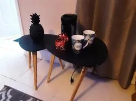 Southern Shores Hide Out