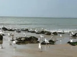 Knokke City Centre Apartment for 6