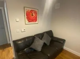 ulsterville cosy apartment 5 min walk from city center STRICTLY OVER 25 ONLY