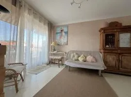 Appartement central à Arcachon, proche plages et commerces, avec terrasse et parking privé - FR-1-474-141
