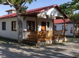 Bungalow 6 Personnes - Terrasse - API-1-52-1873