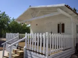 Cabane avec Terrasse pour 6 Personnes - API-1-52-1902