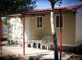 Mobil-Home 4 Pers avec Terrasse en Espagne - API-1-52-1895