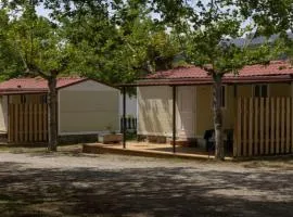 Mobil-Home 20m² avec Terrasse (4 pers.) - API-1-52-1909