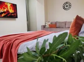 3х комнатная квартира бизнес класса