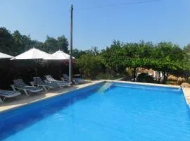 Villa in Ibiza near San Miquel Beach