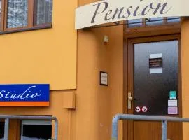 Pension Fontana