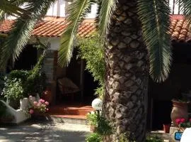 Greek Paradise next to the Sea