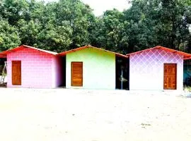 Nivant Agro Experience