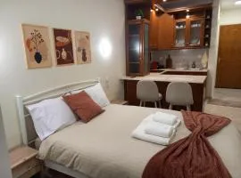 Angel's Nest - Meteora Central Studio