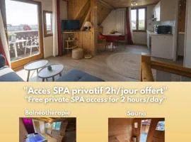 RIESLING - Vue imprenable sur le vignoble - rénové récemment - parking gratuit