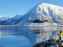Lofoten Lodge - Live like the locals