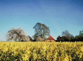 Modernity In Farmhouse With Lagoon View