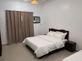 شقة بغرفة نوم وصالة