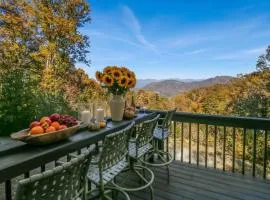 12 mins to DT Asheville & Biltmore, Fire pit, View