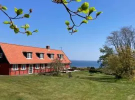 Wildernest Bornholm - Hjorten