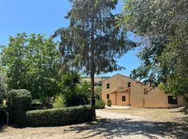 Vineyard Farmhouse in Massignano