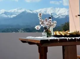 5-bedroom Country House in Crete - Olive Grove Retreat