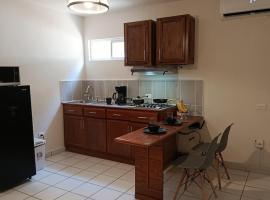 Apartment 4 NON 1, espacioso y bien ubicado, hotel en Chihuahua