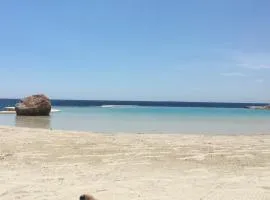 Luxury Penthouse with roof top & infinitive pool ocean view in Tracadero Beach Club