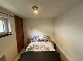 Ski aux pieds ! Vue lac et montagne - 4 personnes