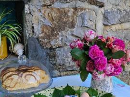 Boutique Home Saltaragazza