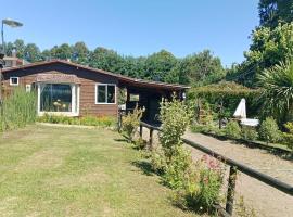 Amplia casa en Villarrica, Hotel in Voipire