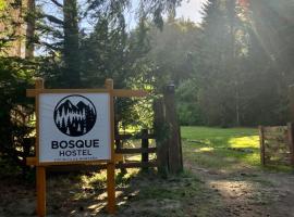 bosque hostel, Hotel in Villa Traful