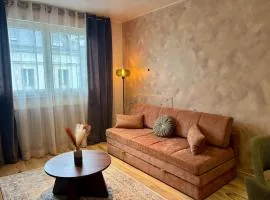 Les Cocons d'Agathe - Ty Rozenn - coeur du centre historique