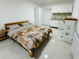 Apartman VIS 2