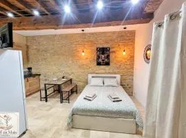 Le Petit Cocon Cozy studio proche de Lyon