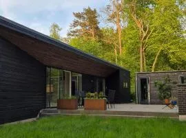 Modern Architect House By Lake On Helgenæs